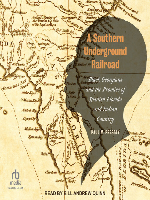 Title details for A Southern Underground Railroad by Paul M. Pressly - Available